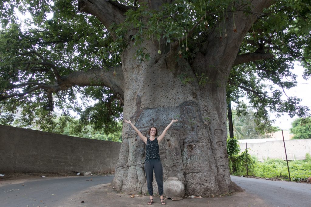 Hélène in front of a giant baobab in Dakar.